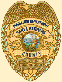 Original bitmap image